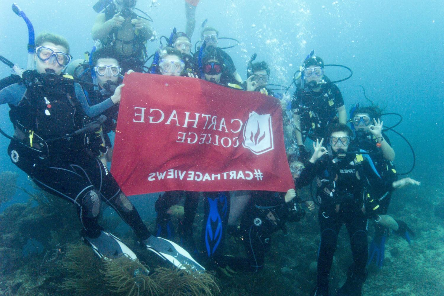 学生们手持<a href='http://smqt.ngskmc-eis.net'>博彩网址大全</a>旗帜，在j学期洪都拉斯游学之旅中潜水.